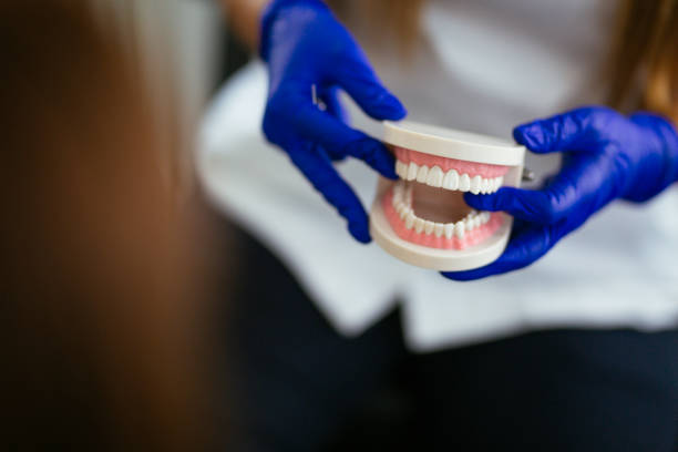  Sugar Grove, IL Holistic Dental Services Pros